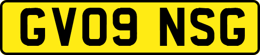 GV09NSG