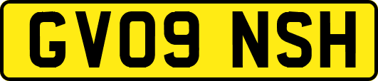 GV09NSH
