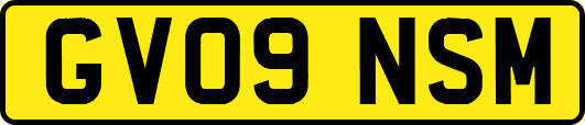 GV09NSM
