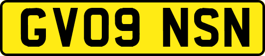 GV09NSN