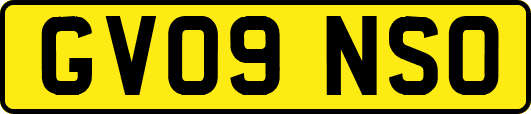 GV09NSO