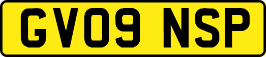 GV09NSP
