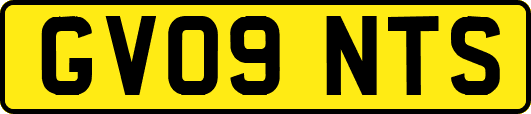 GV09NTS