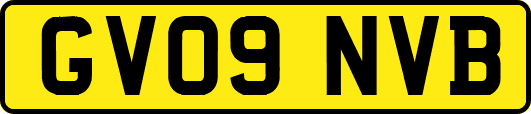 GV09NVB