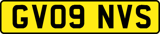 GV09NVS