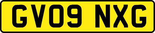 GV09NXG