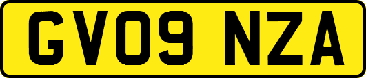 GV09NZA