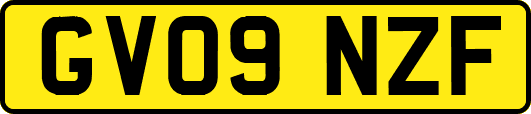 GV09NZF