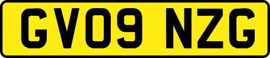 GV09NZG