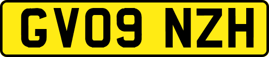 GV09NZH