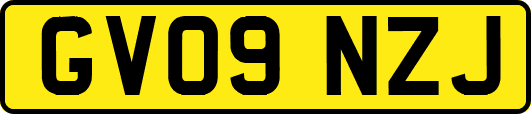 GV09NZJ