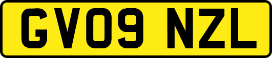 GV09NZL