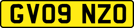 GV09NZO