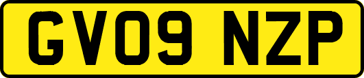 GV09NZP