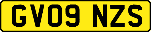 GV09NZS