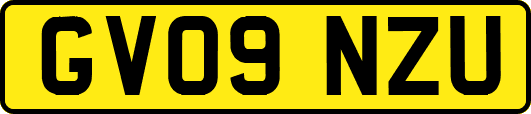 GV09NZU