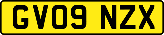 GV09NZX