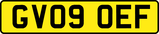 GV09OEF