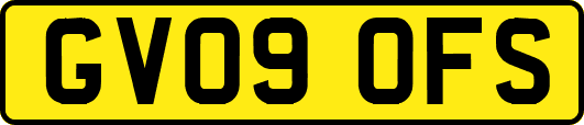 GV09OFS