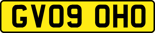 GV09OHO