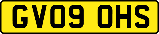 GV09OHS