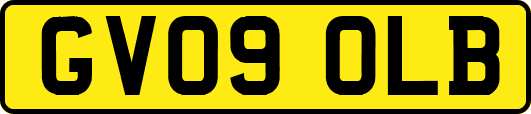 GV09OLB