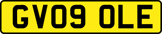 GV09OLE