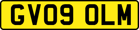 GV09OLM