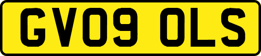 GV09OLS