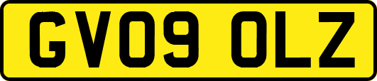 GV09OLZ