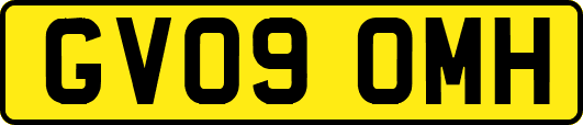 GV09OMH