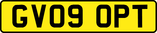 GV09OPT