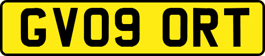 GV09ORT