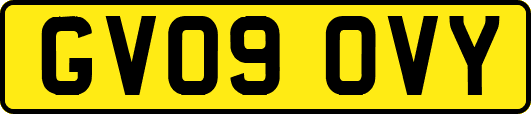 GV09OVY