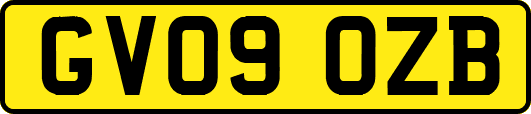 GV09OZB