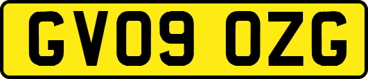 GV09OZG