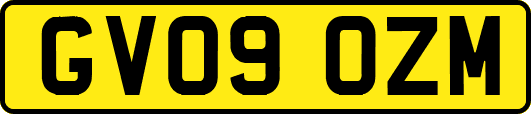 GV09OZM
