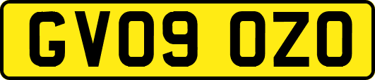 GV09OZO