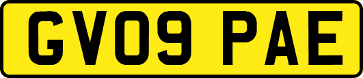 GV09PAE