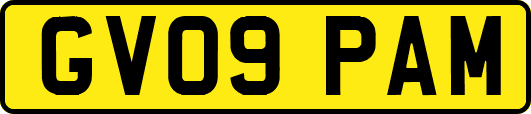 GV09PAM