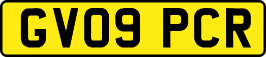 GV09PCR