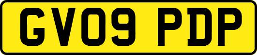 GV09PDP