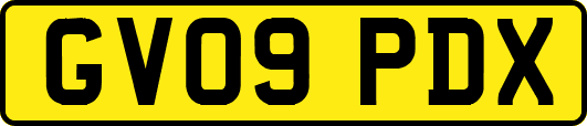 GV09PDX