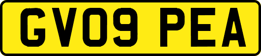 GV09PEA