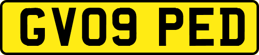 GV09PED