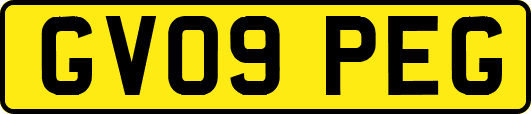 GV09PEG