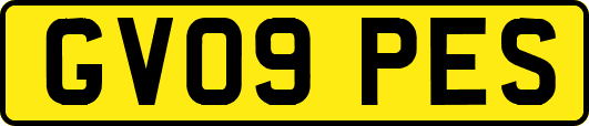 GV09PES
