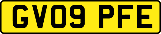 GV09PFE