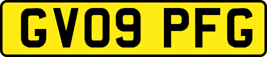 GV09PFG