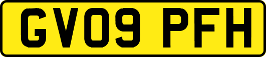 GV09PFH